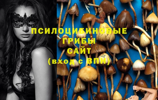 каннабис Инта