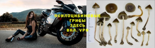 бошки Зерноград