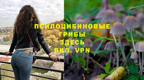 спайс Заволжск