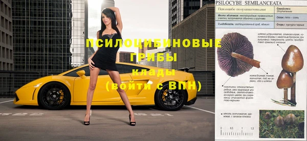 бошки Зерноград