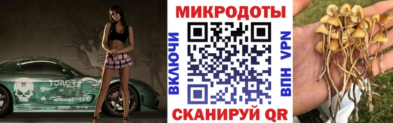 Галлюциногенные грибы мухоморы  как найти   blacksprut   Судак 